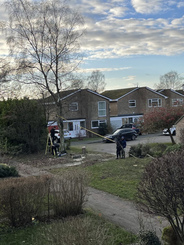 Mature trees have been cut down on pockets of green space on the Verulam Estate.