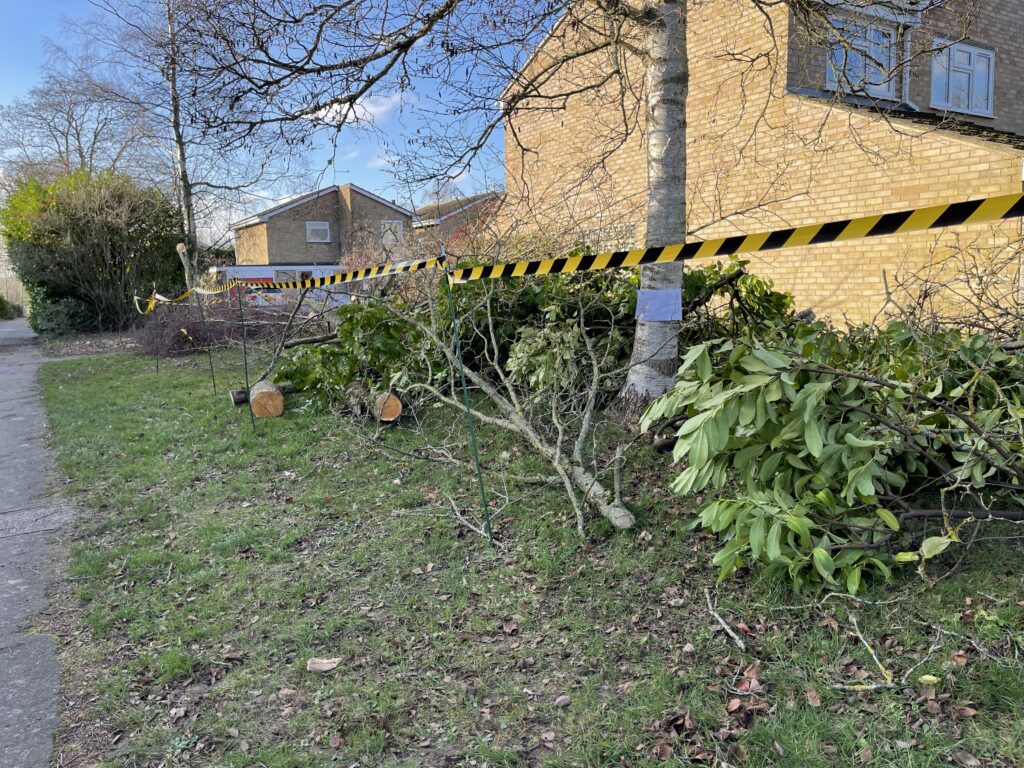 Mature trees have been cut down on pockets of green space on the Verulam Estate.