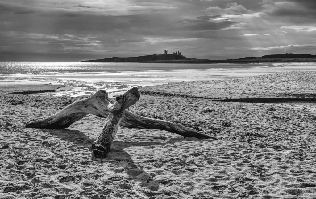 EMBLETON BAY by David Butler