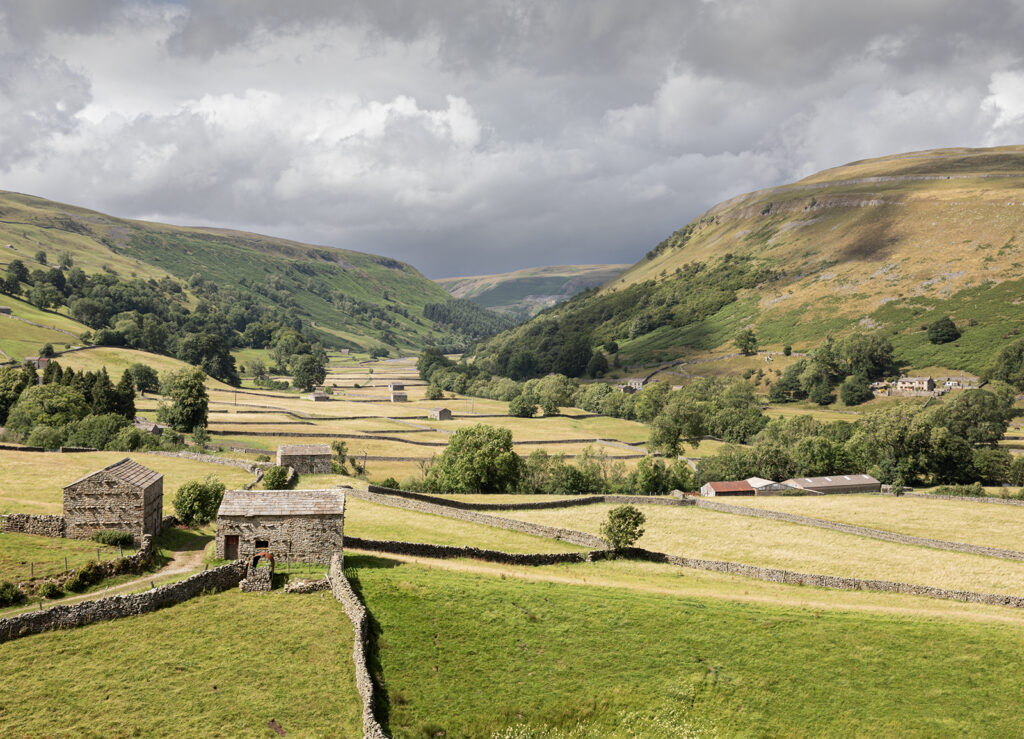 FIELD BARNS OF MUKER by Peter Whitehead