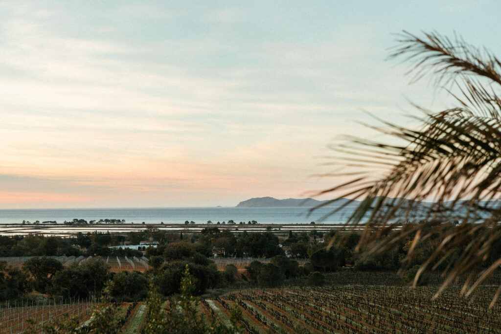 Galoupet vineyards with Porquerolles in distance