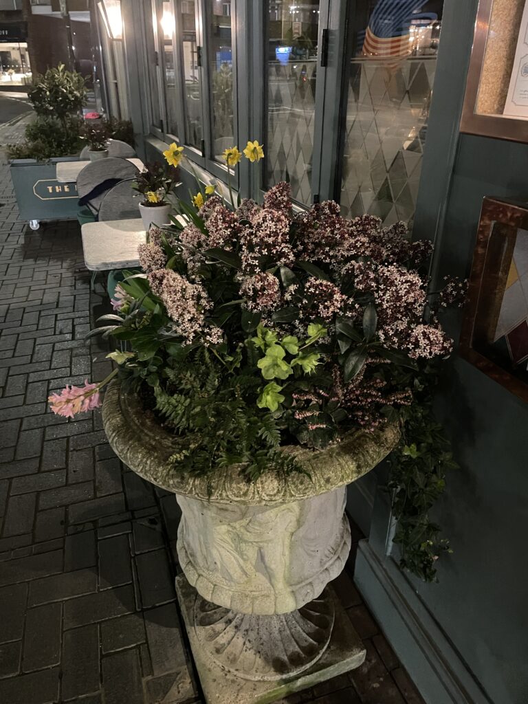The Ivy Brasserie St Albans