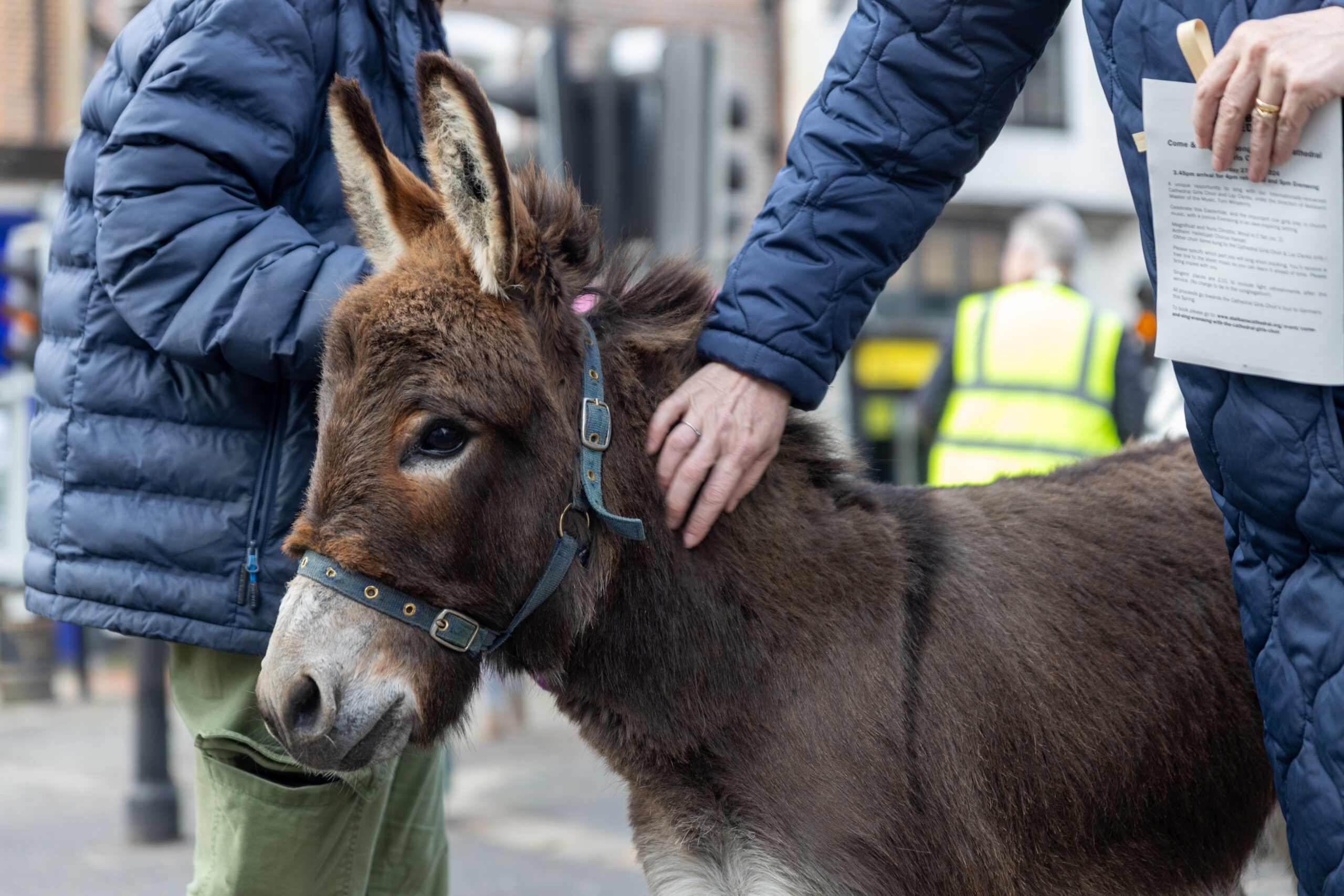 Palm Sunday at St Albans Cathedral. Photo: Toby Shepheard