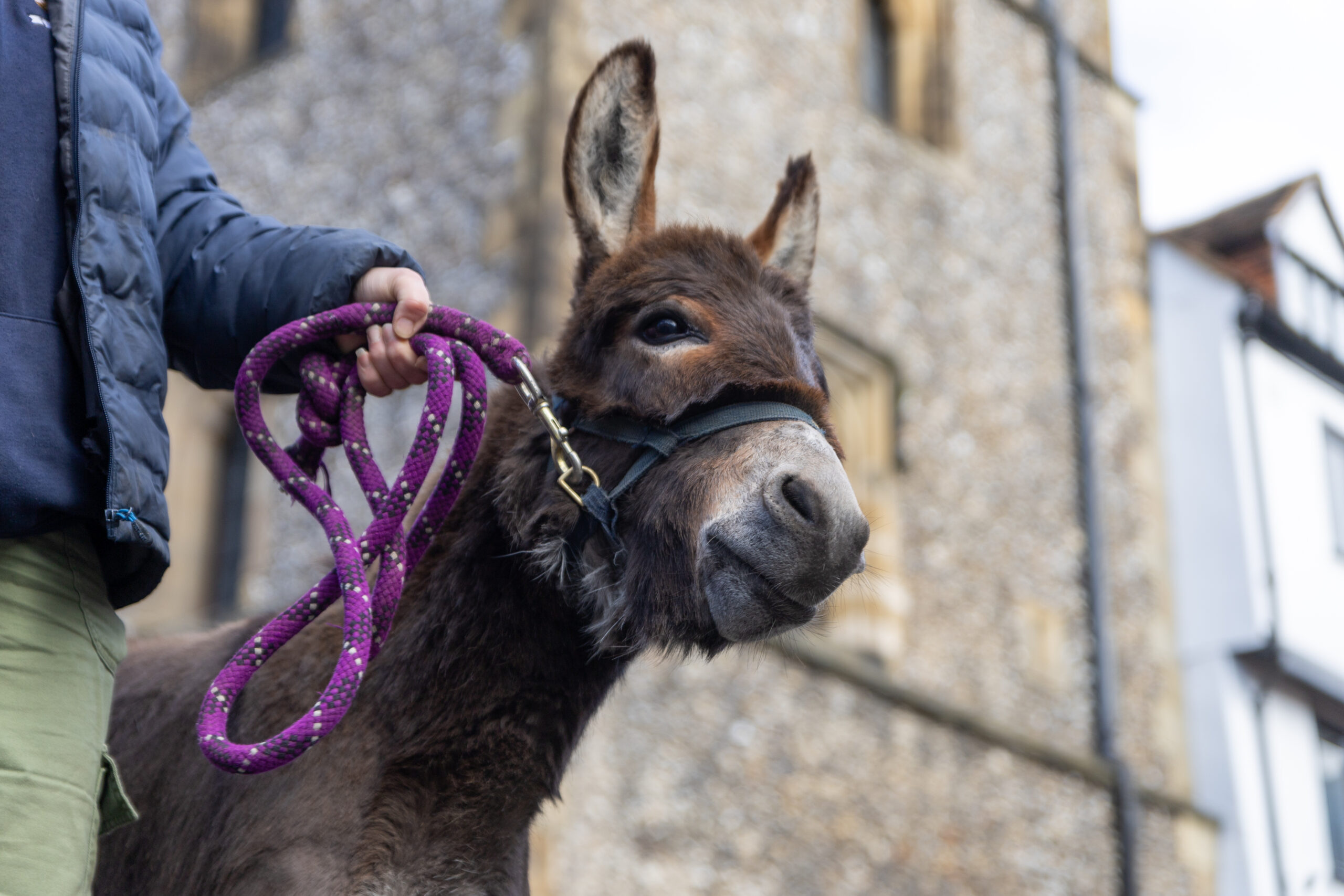 Palm Sunday at St Albans Cathedral. Photo: Toby Shepheard