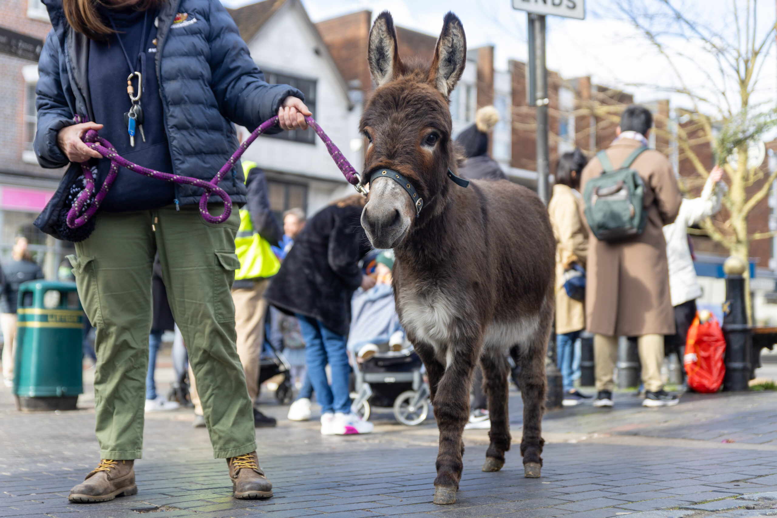 Palm Sunday at St Albans Cathedral. Photo: Toby Shepheard