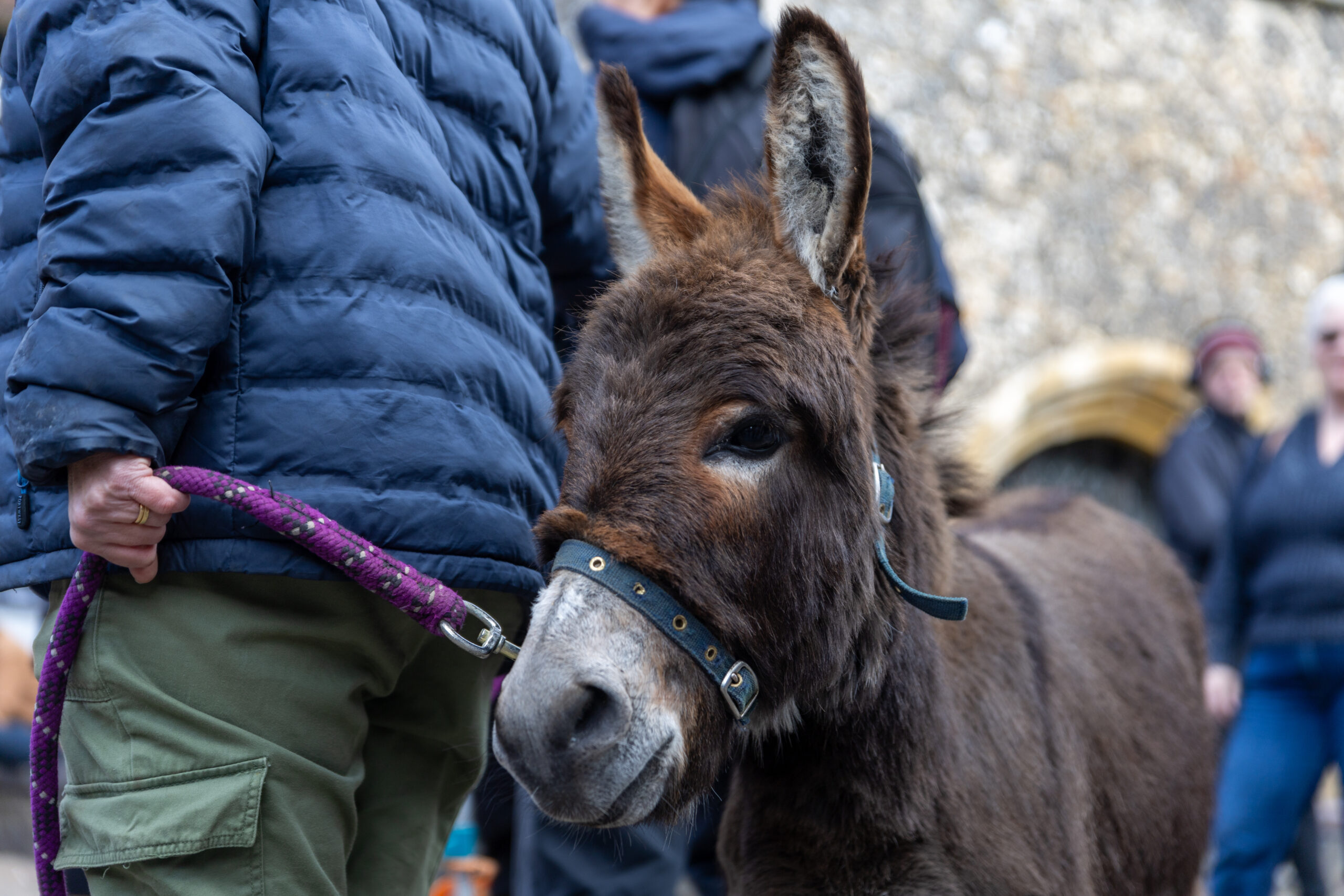 Palm Sunday at St Albans Cathedral. Photo: Toby Shepheard