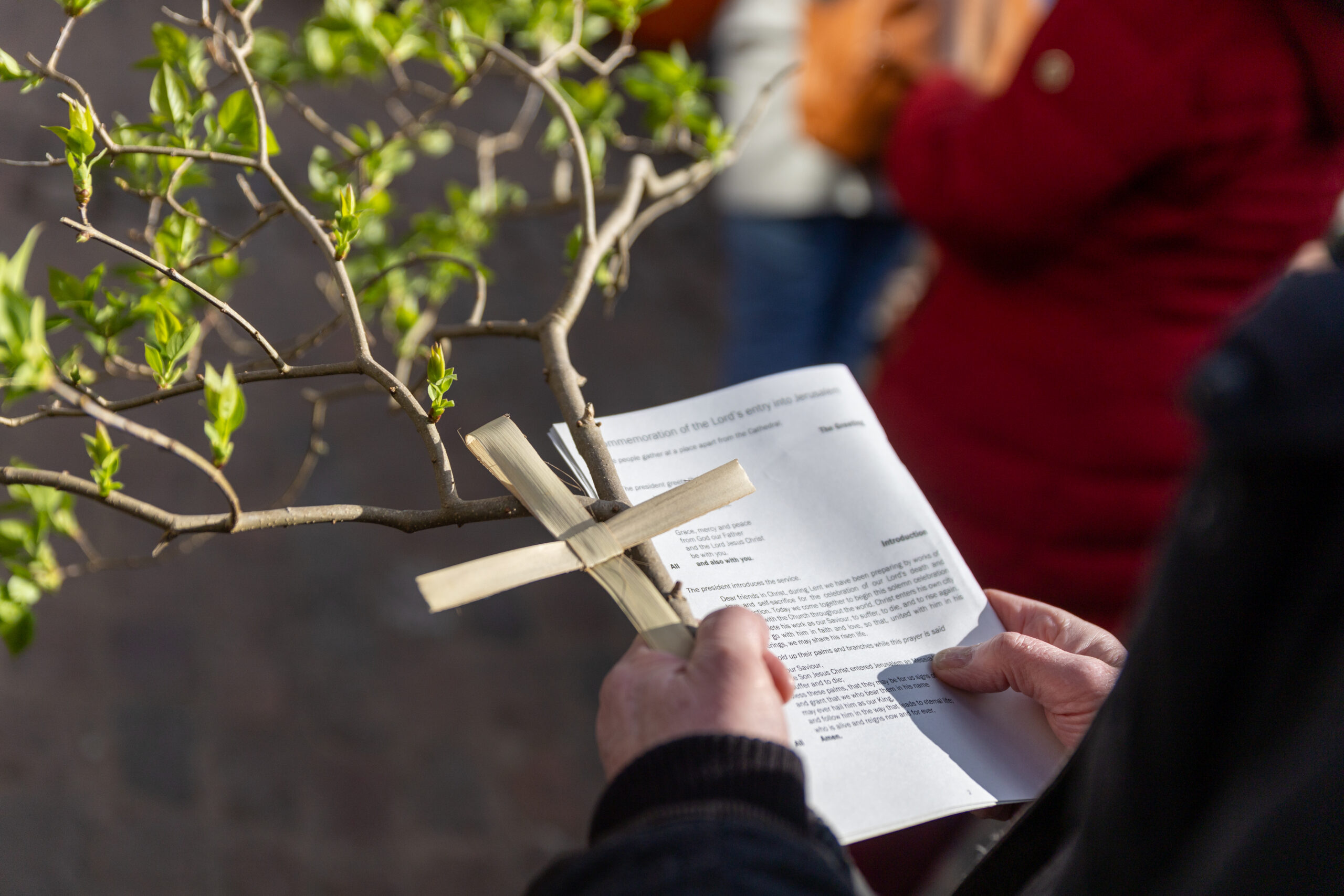 Palm Sunday at St Albans Cathedral. Photo: Toby Shepheard