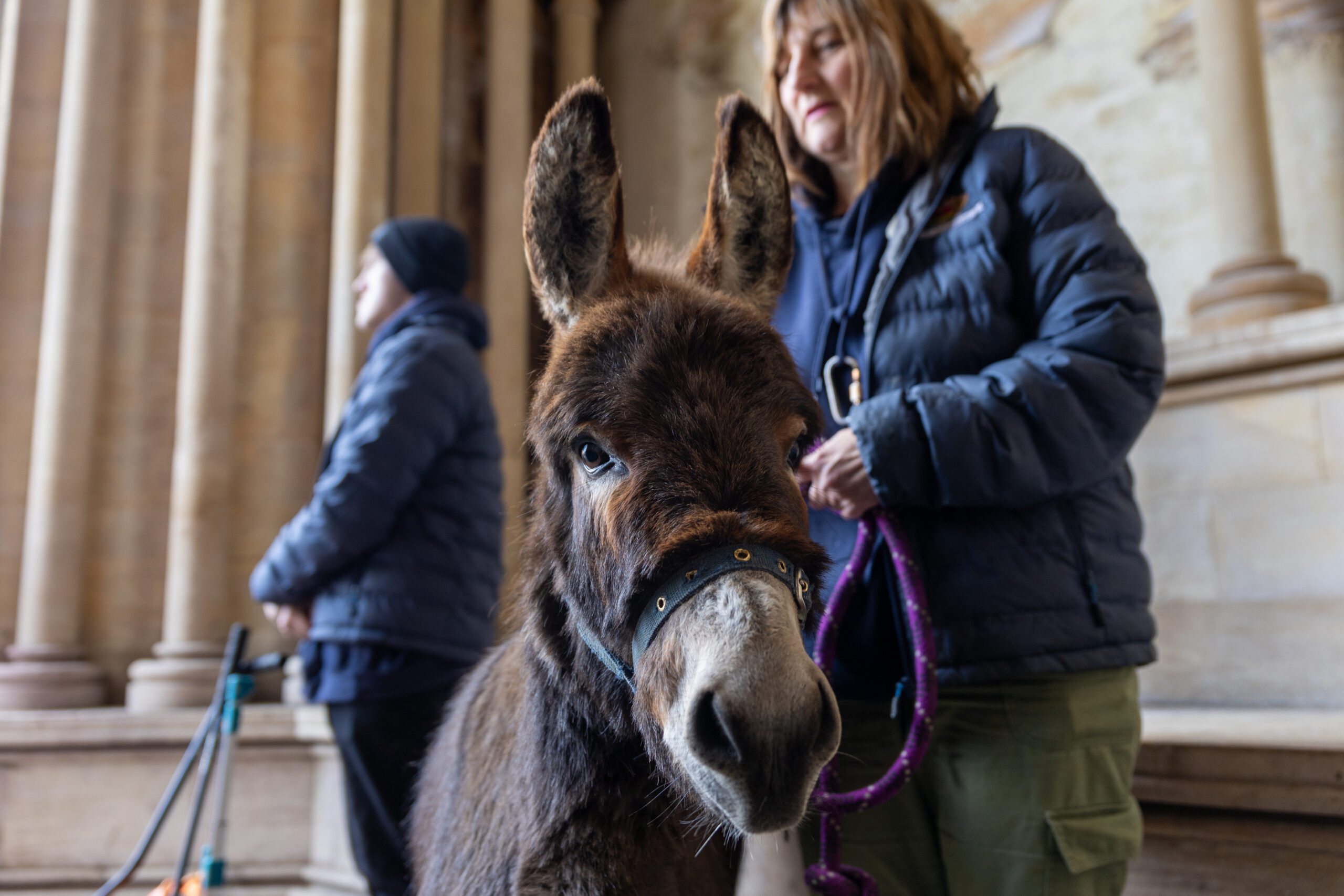 Palm Sunday at St Albans Cathedral. Photo: Toby Shepheard