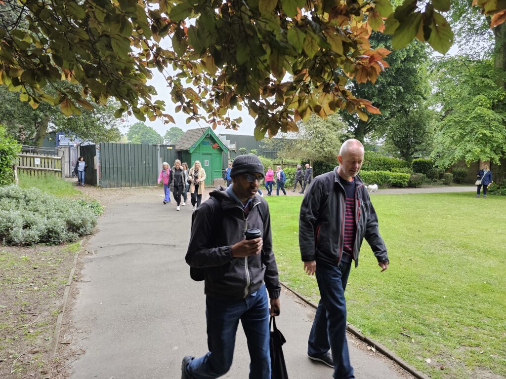 Netwalks in Clarence Park. Photo: Jen Smith