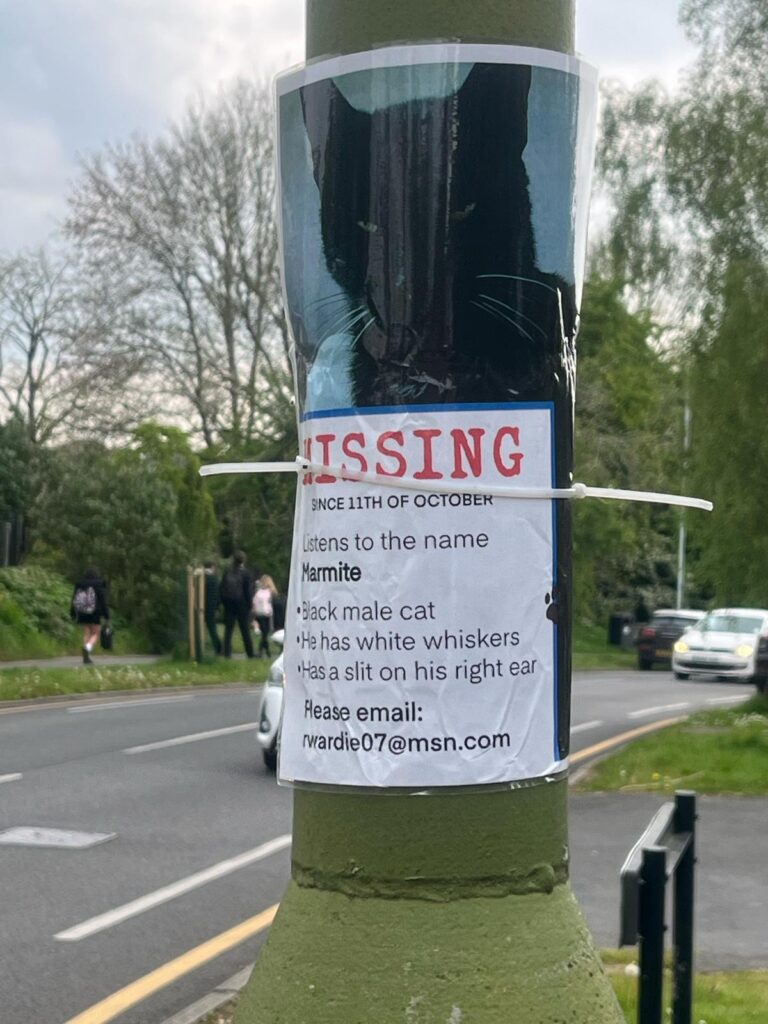 Missing poster for Marmite