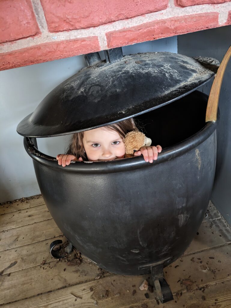 Willows Activity Farm