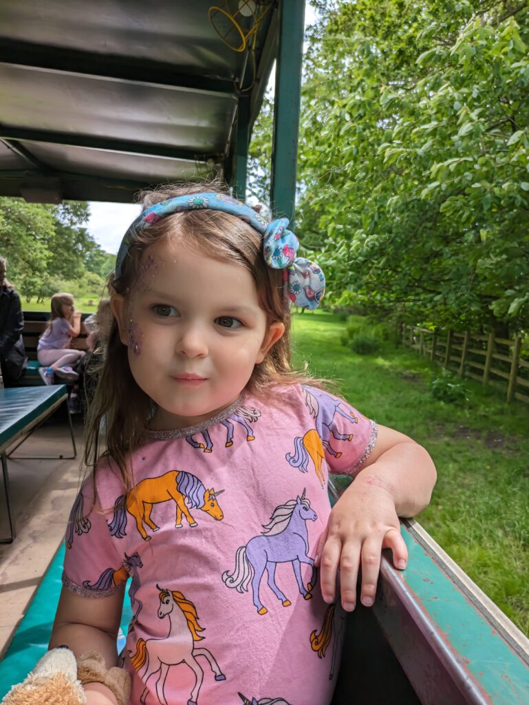 Willows Activity Farm