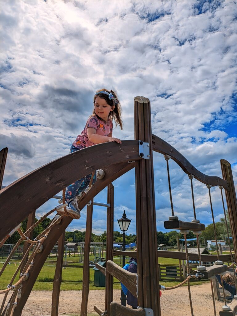Willows Activity Farm