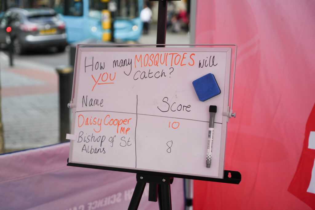 The Maleria No More stall in St Peter's Street.