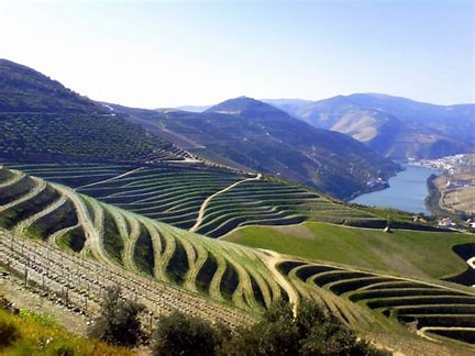 Dao Landscape