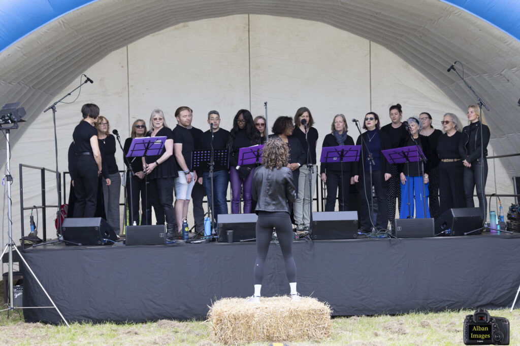 Jersey Farm Summer Festival. Photo: Tony Barr and Chris Barr.