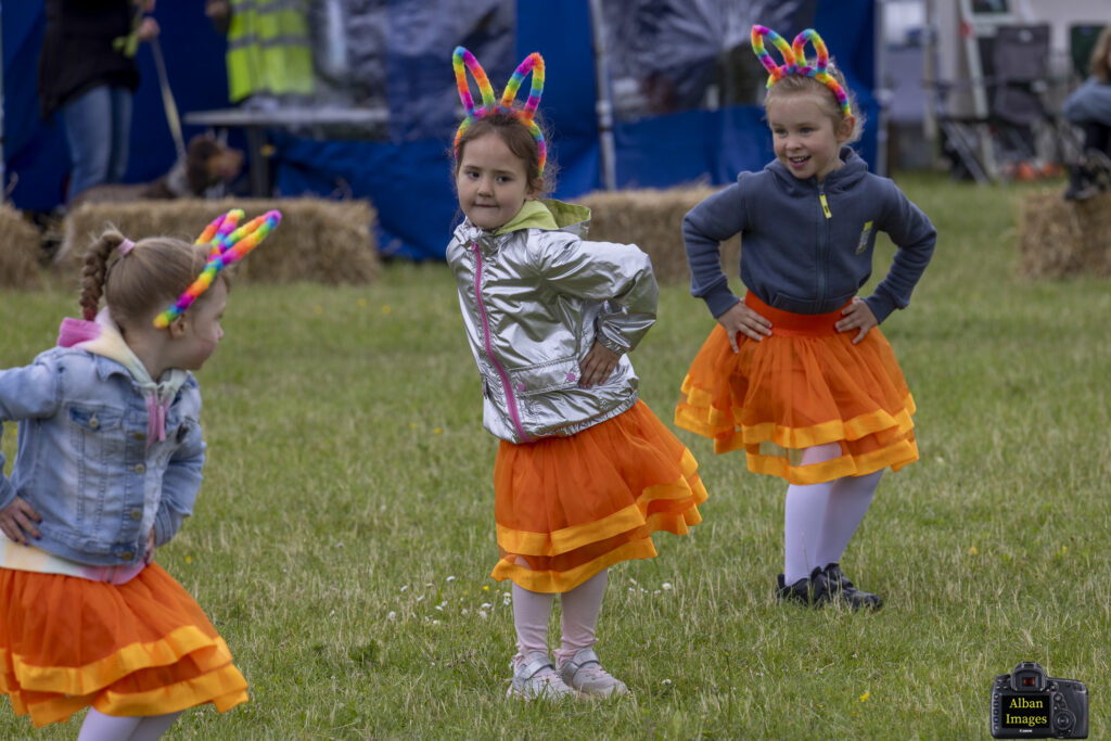 Jersey Farm Summer Festival. Photo: Tony Barr and Chris Barr.