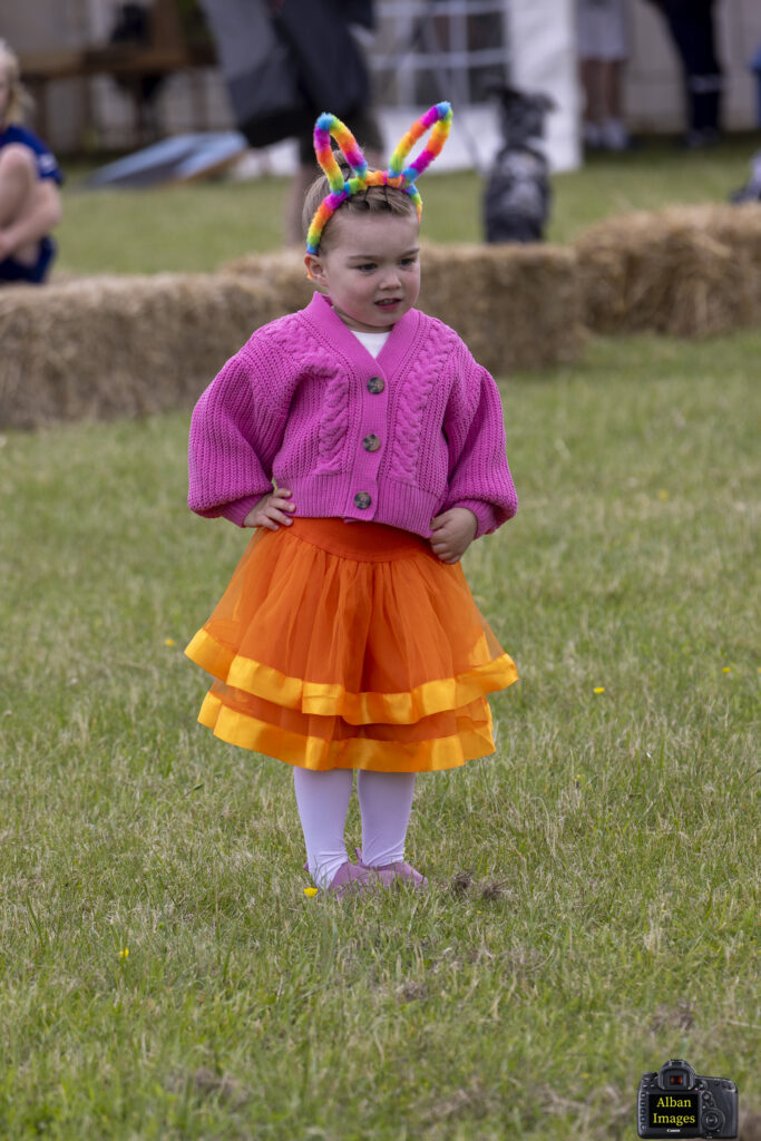 Jersey Farm Summer Festival. Photo: Tony Barr and Chris Barr.