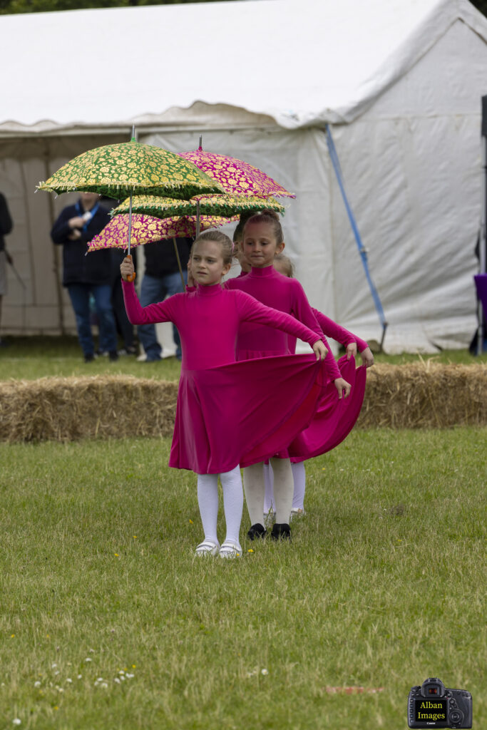 Jersey Farm Summer Festival. Photo: Tony Barr and Chris Barr.