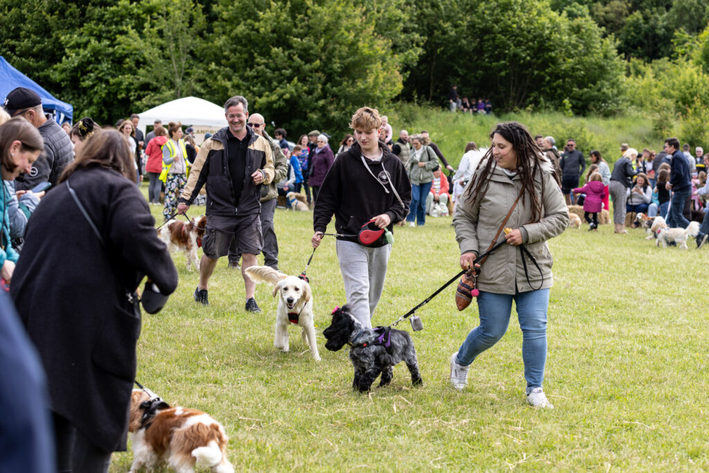 Jersey Farm Summer Festival. Photo: Tony Barr and Chris Barr.