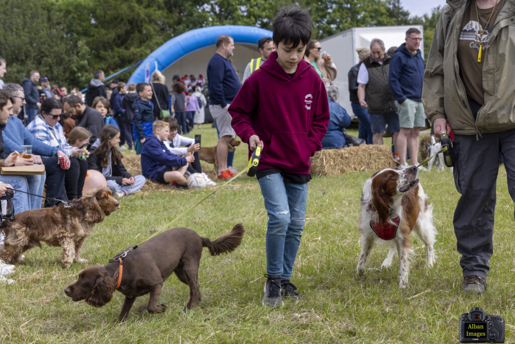 Jersey Farm Summer Festival. Photo: Tony Barr and Chris Barr.