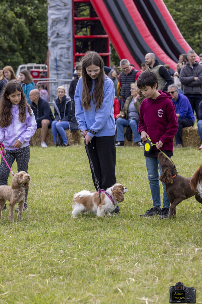 Jersey Farm Summer Festival. Photo: Tony Barr and Chris Barr.