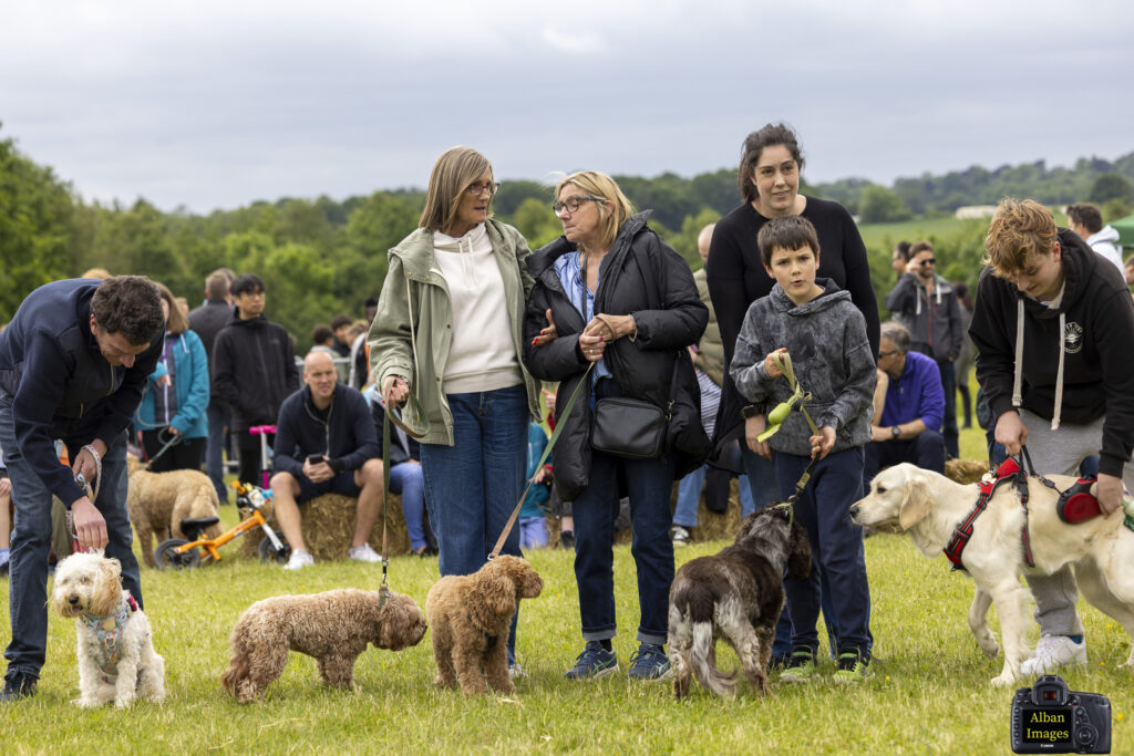 Jersey Farm Summer Festival. Photo: Tony Barr and Chris Barr.