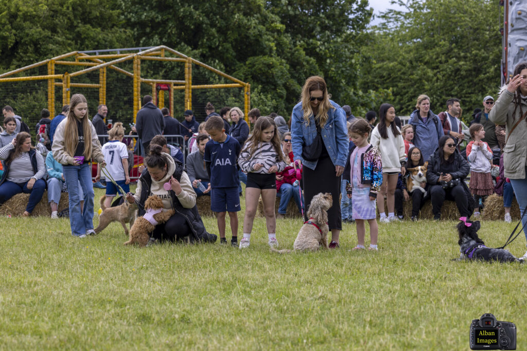 Jersey Farm Summer Festival. Photo: Tony Barr and Chris Barr.
