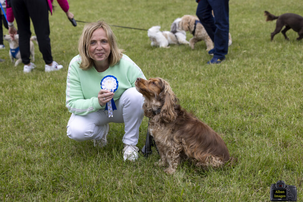 Jersey Farm Summer Festival. Photo: Tony Barr and Chris Barr.