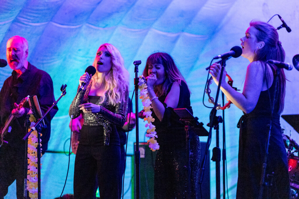 Jersey Farm Summer Festival. Photo: Tony Barr and Chris Barr.