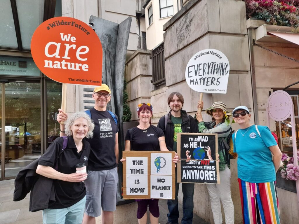 St Albans environmental groups took part in the Restore Nature Now march.