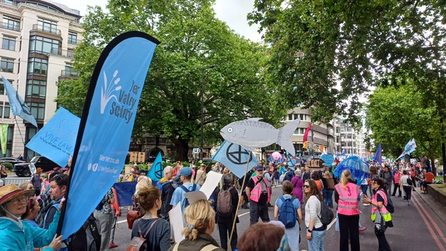St Albans environmental groups took part in the Restore Nature Now march.