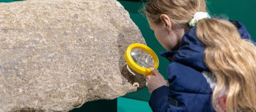 Archaeology for Families ©St Albans Museums