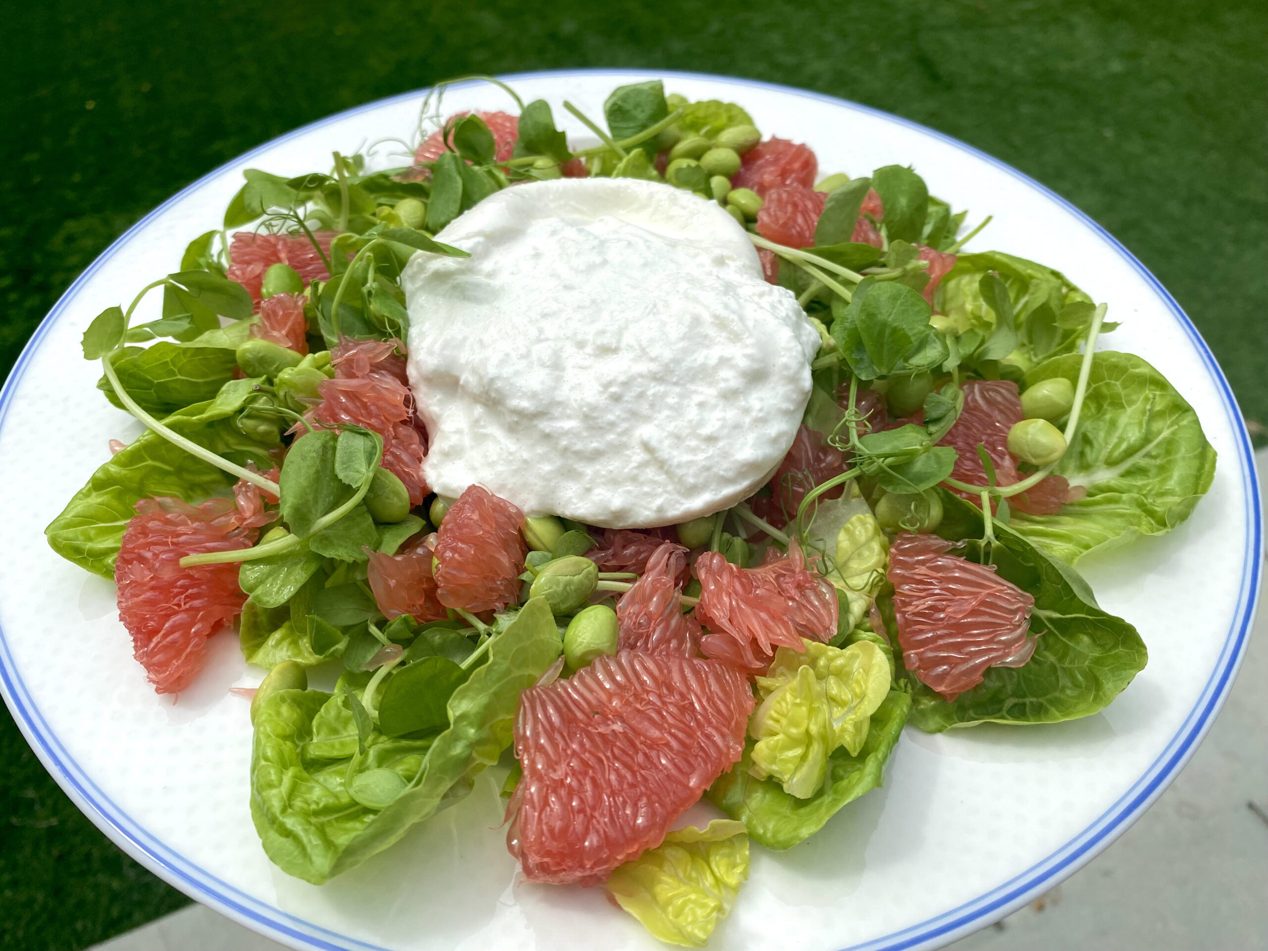 Burrata and red grapefruit salad