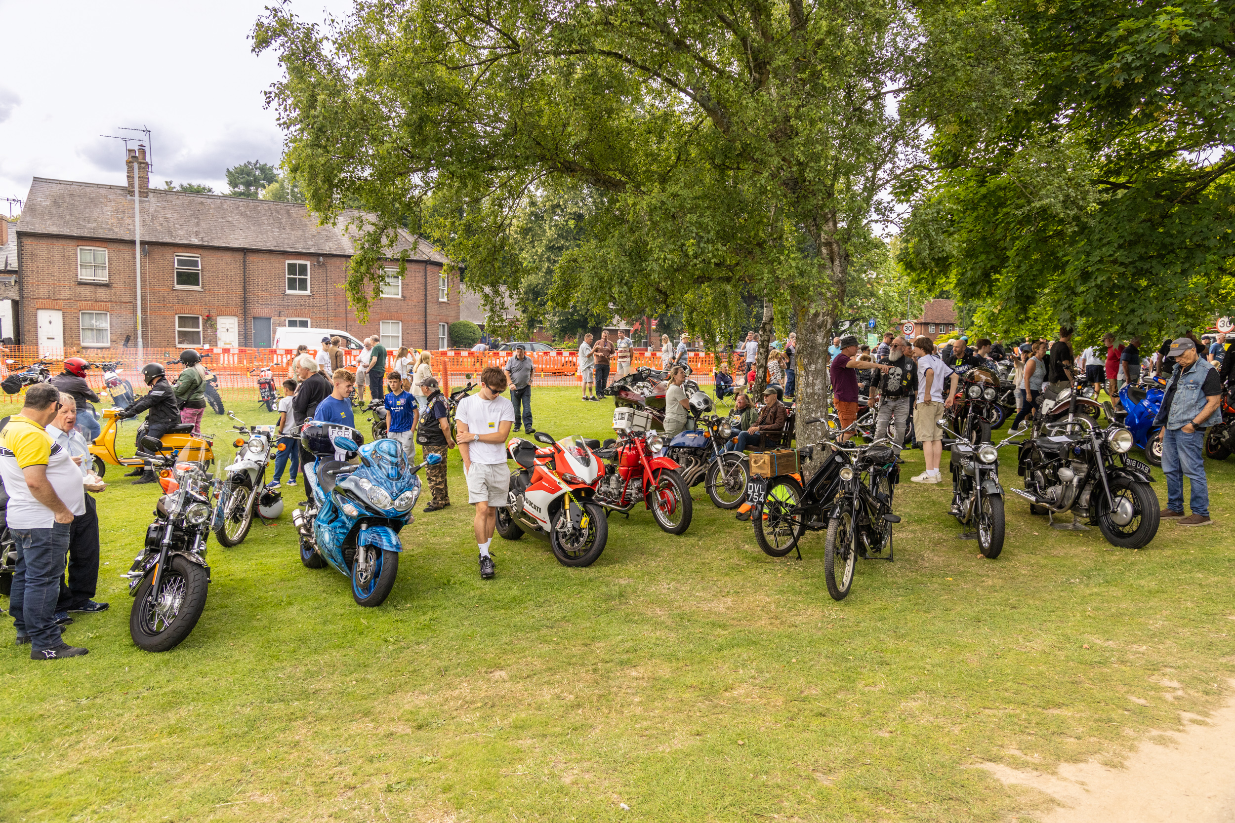 Harpenden Classics on the Common 2024. Photo: Steve Collins