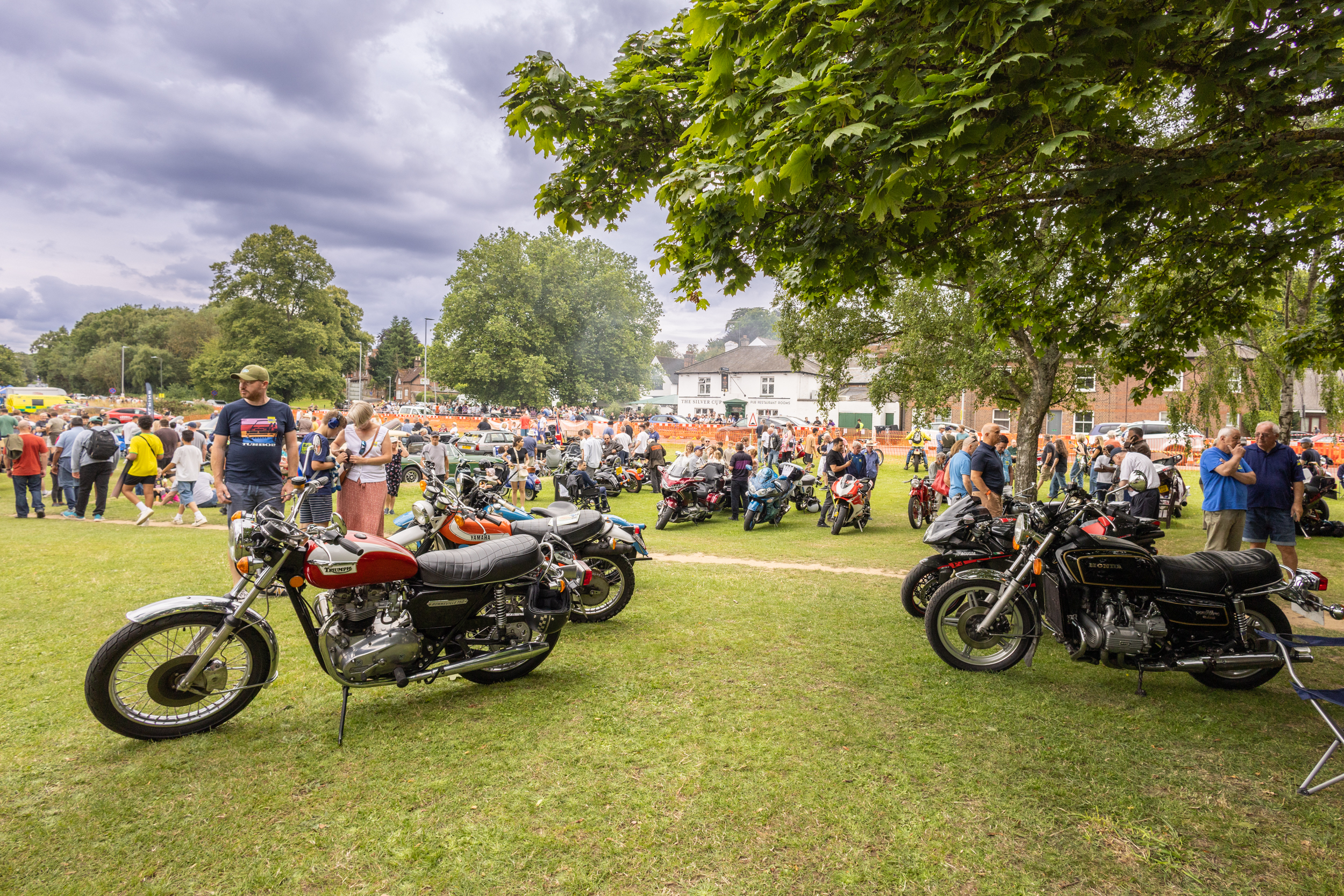 Harpenden Classics on the Common 2024. Photo: Steve Collins