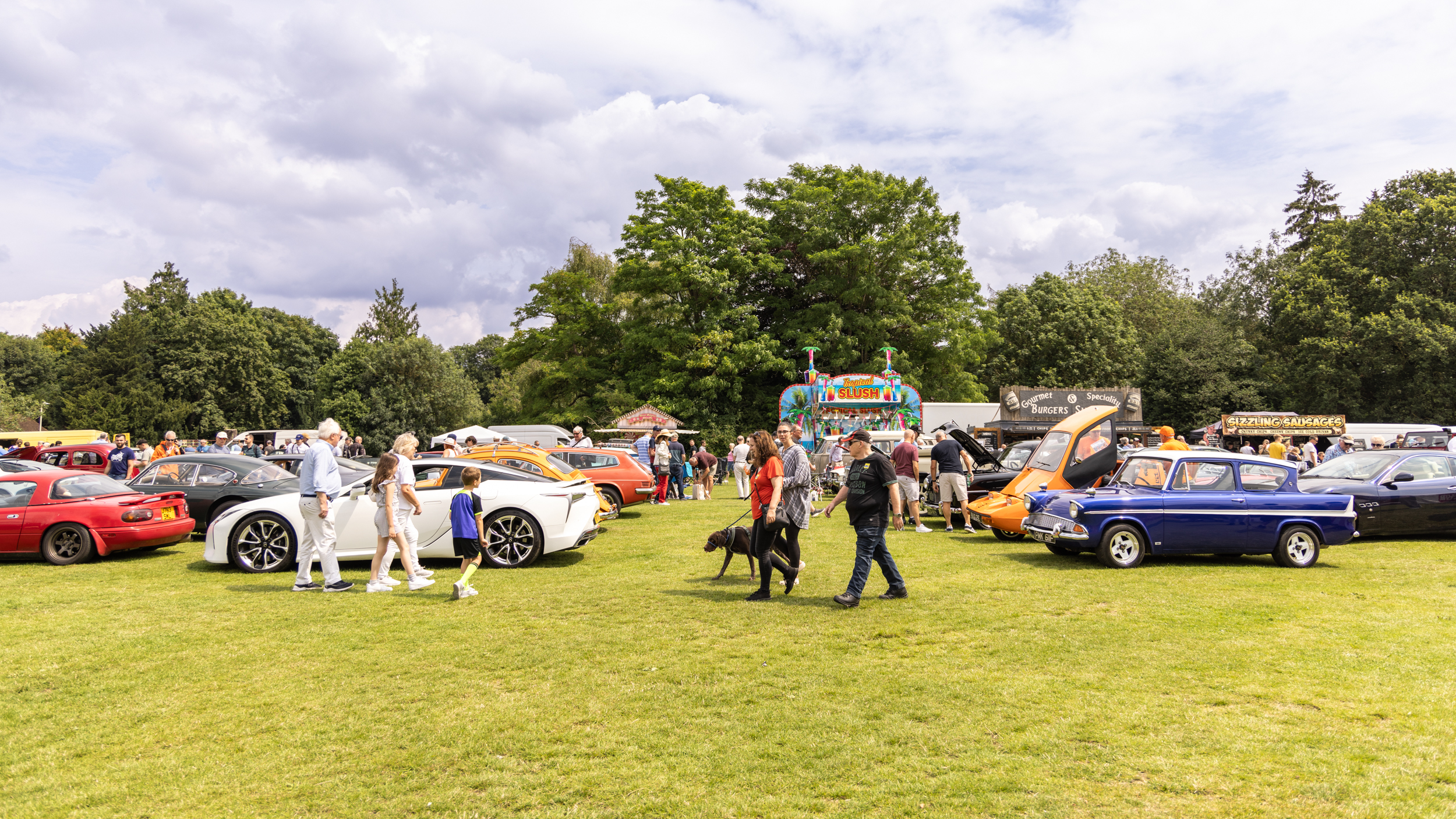 Harpenden Classics on the Common 2024. Photo: Steve Collins