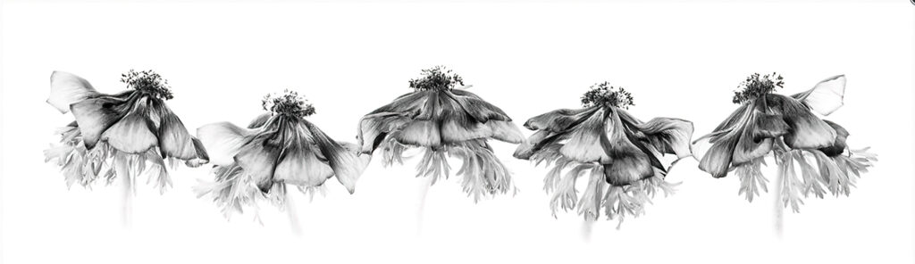Dancing on Air by Liz Thompson