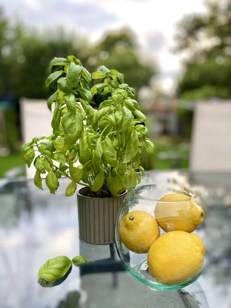 Lemon and basil