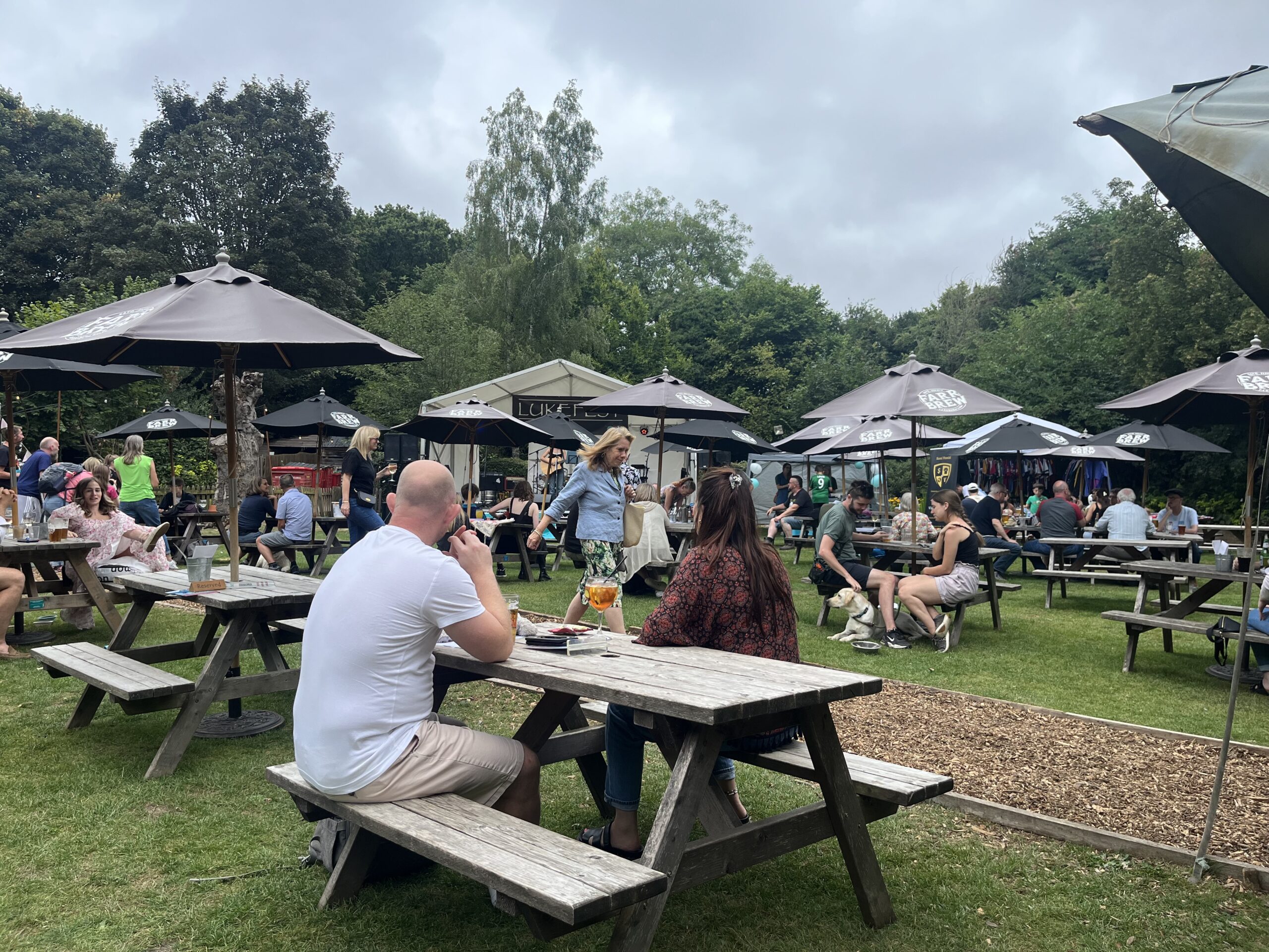 The Elephant and Castle in Wheathampstead.