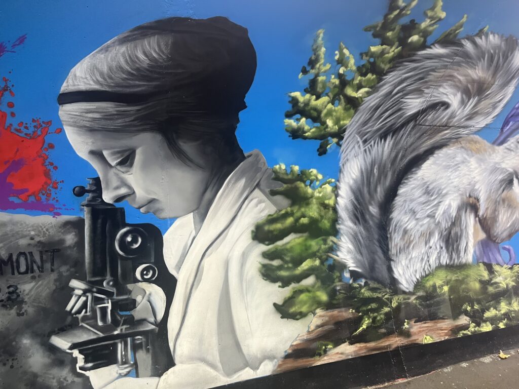 The new mural in Harpenden's Station Road underpass.