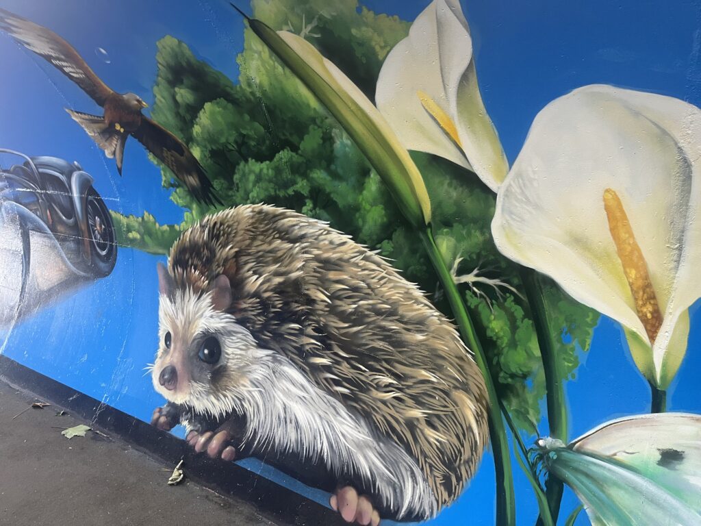 The new mural in Harpenden's Station Road underpass.