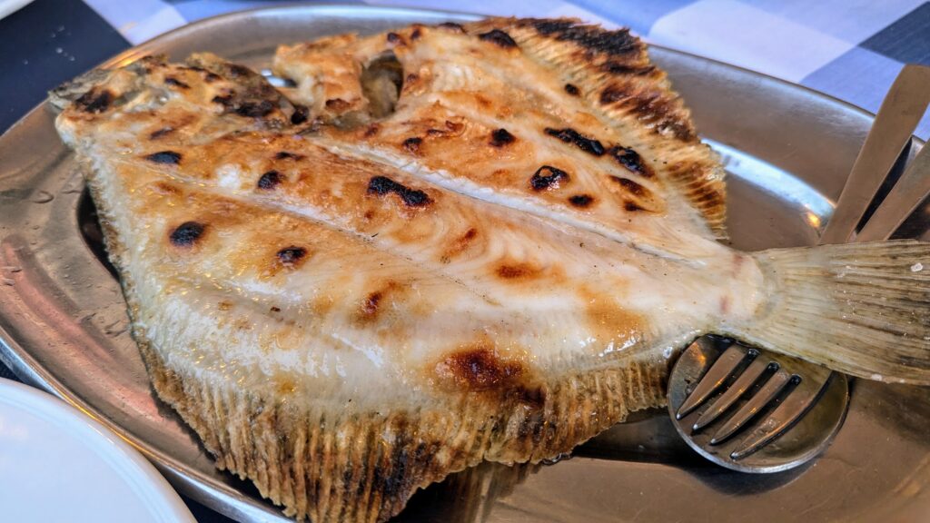 Turbot
