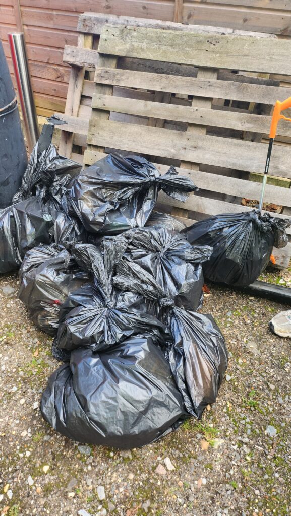 Business volunteers clearing rubbish from Beech Bottom Dyke.