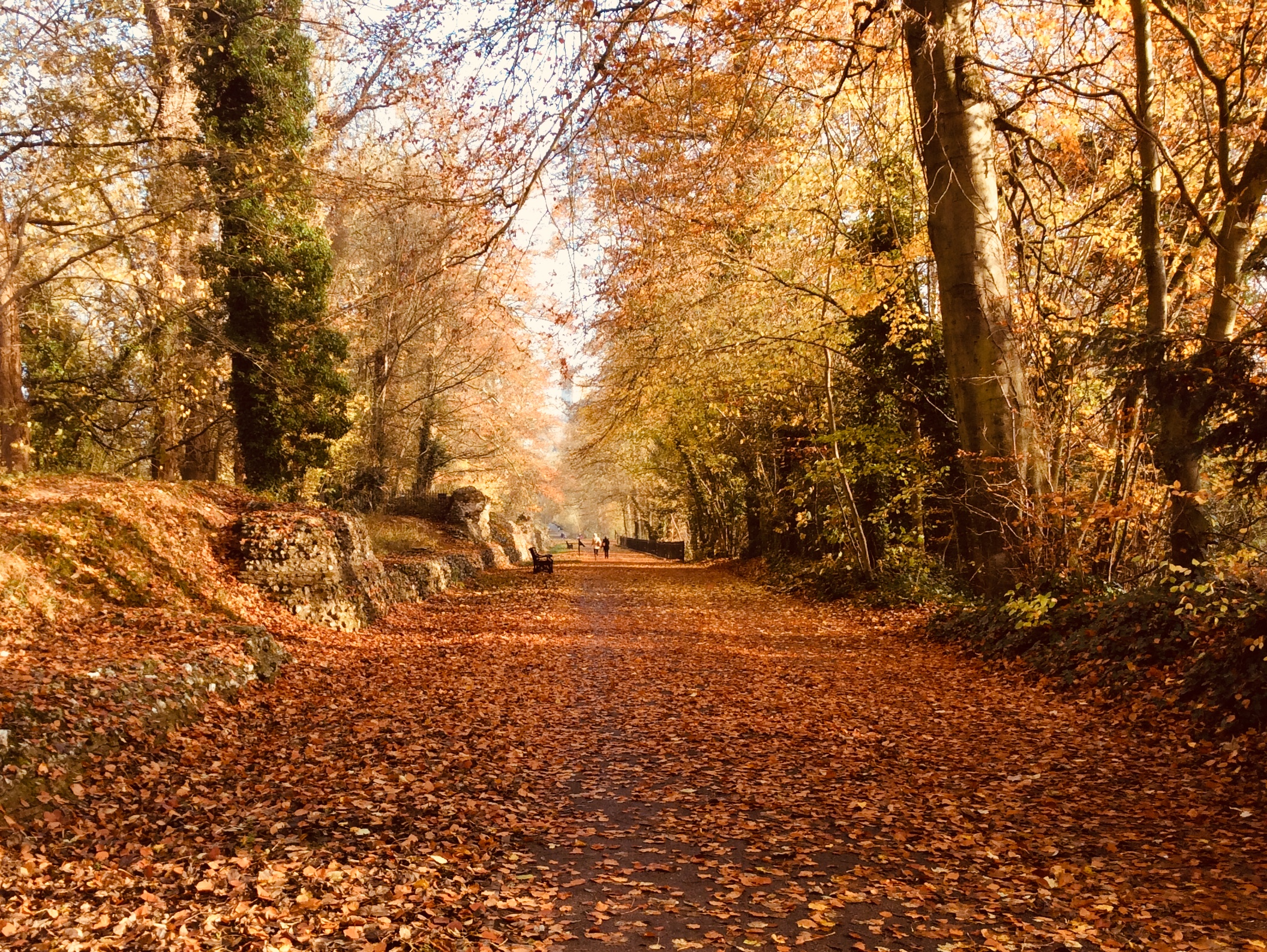 Verulamium Park. Photo: Dr Robert Wareing.