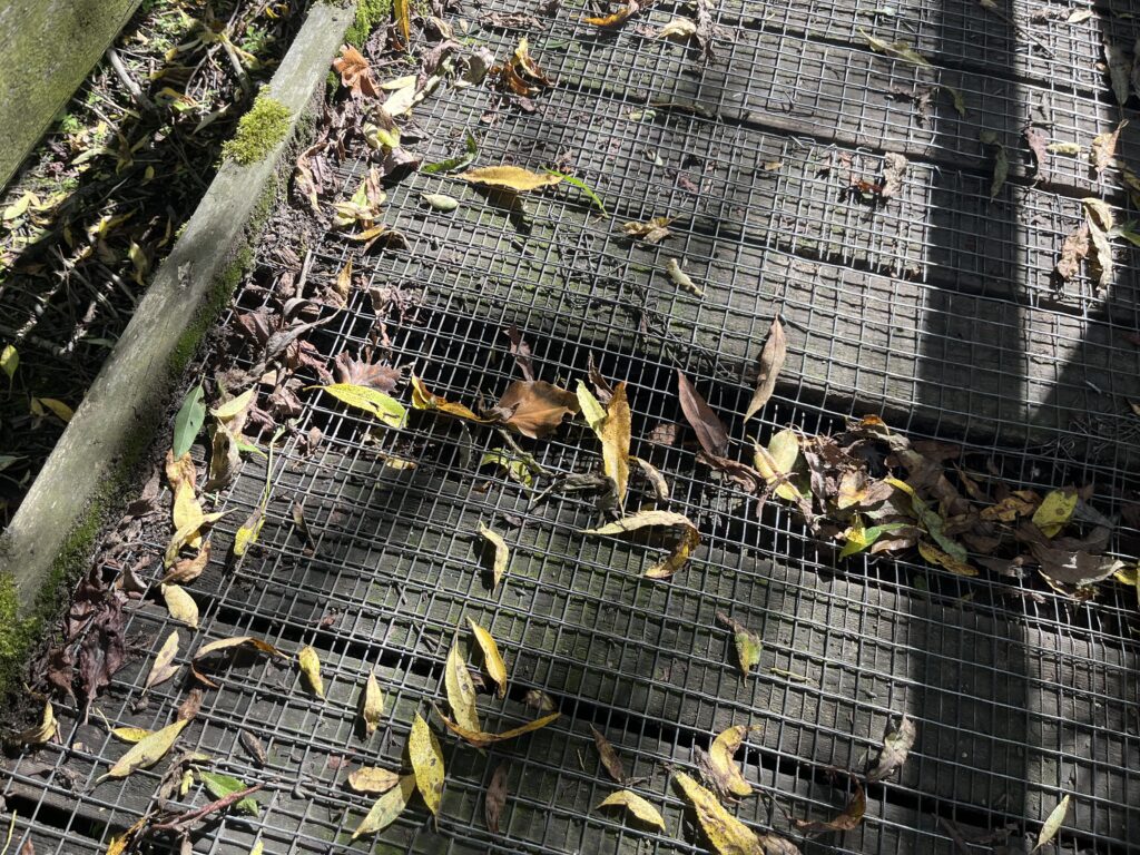 Fenny's Boardwalk in Sopwell.