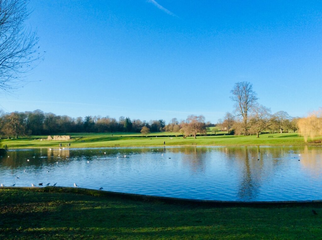 Verulamium Lake. Photo: Dr Robert Wareing.