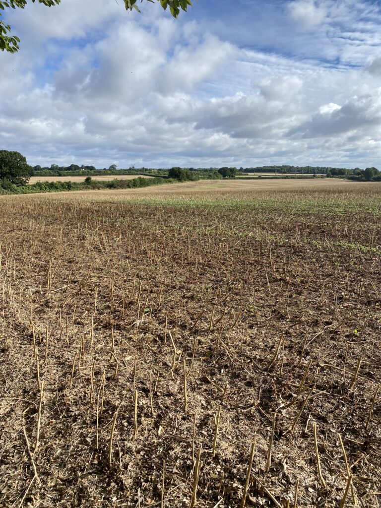 The proposed development site in north St Albans.