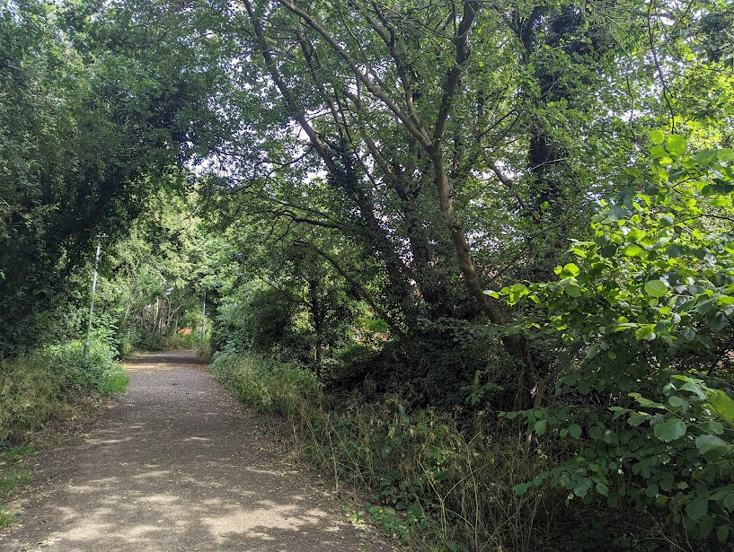 Jersey Lane