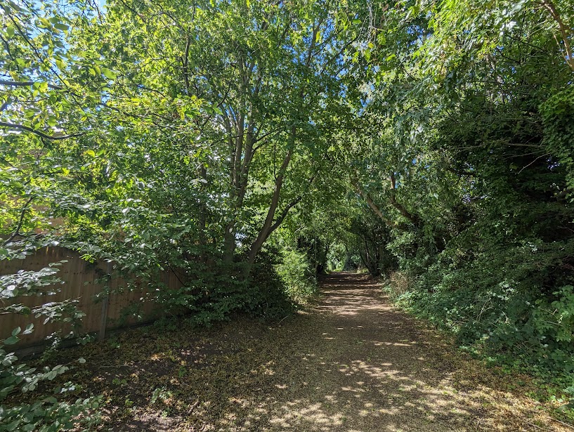 Jersey Lane